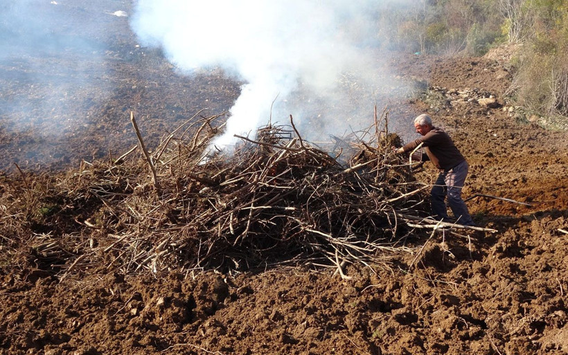 7 mahalle karantinada! Trabzon'da 'Dracula' böceği tehlikesine karşı ağaçlar yakılıyor - Resim: 4