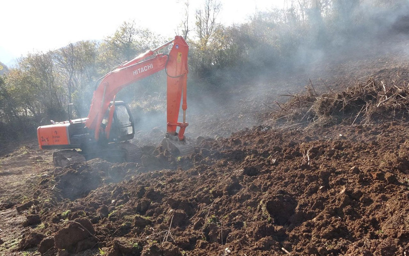 7 mahalle karantinada! Trabzon'da 'Dracula' böceği tehlikesine karşı ağaçlar yakılıyor - Resim: 3