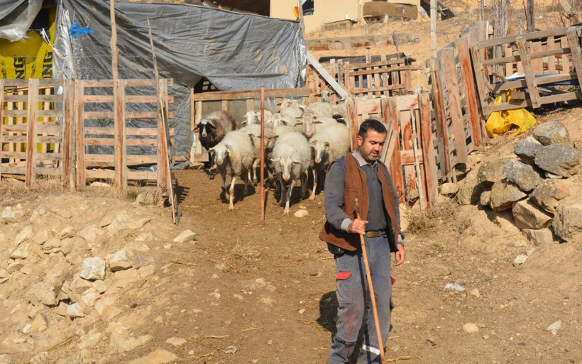 Yöneticiliği bırakıp koronavirüsten kaçtı 9 aydır Bilecik'in köyünde yaşıyor - Resim: 4