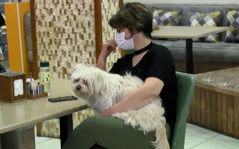 Adres yine Esenyurt! İran uyruklular 'Şeb-i Yelda' buluşmasında baskınla yakalandı - Resim: 2