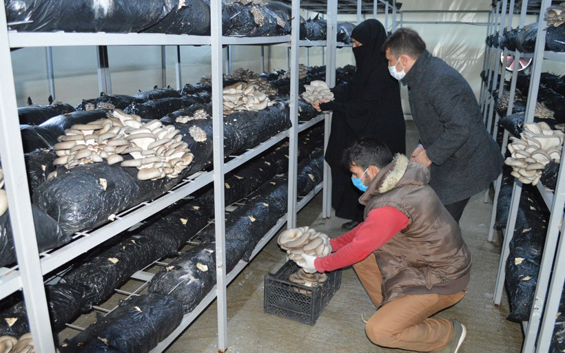 Komşusu fotoğraf gösterdi hayatı değişti! Elazığ'da kendi işinin patronu oldu - Resim: 2