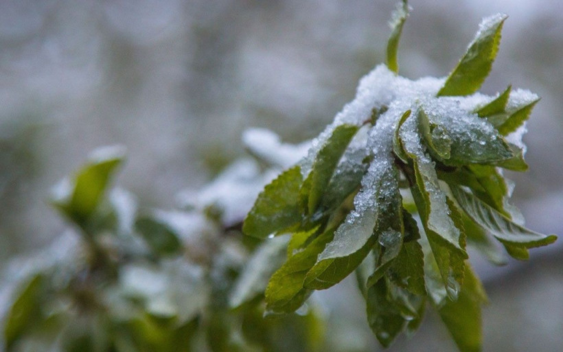 Yılbaşında Türkiye'de hava nasıl olacak? Meteoroloji son hava durumu raporunu geçti - Resim: 2