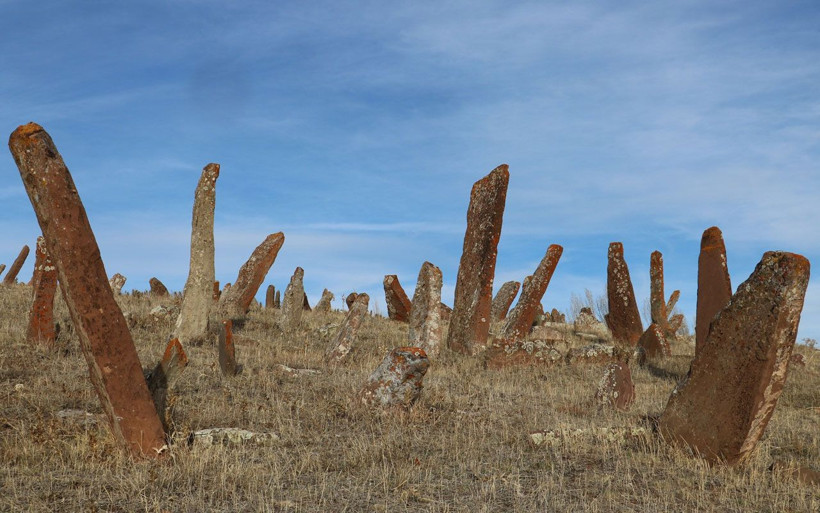Sivas'ta görenler şaşırıp kalıyor! Her biri gökten düşmüş gibi ve insan boyunu aşıyor - Resim: 1