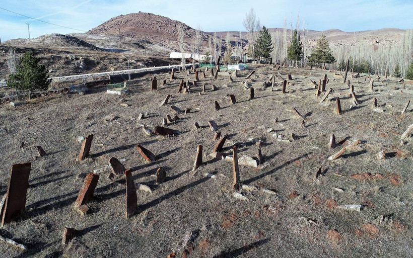 Sivas'ta görenler şaşırıp kalıyor! Her biri gökten düşmüş gibi ve insan boyunu aşıyor - Resim: 4