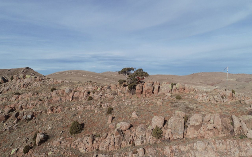 Sivas'ta 4 asırdır tek başına! Kesmeye gitti başına gelmeyen kalmadı 'yatır var' diyorlar - Resim: 3
