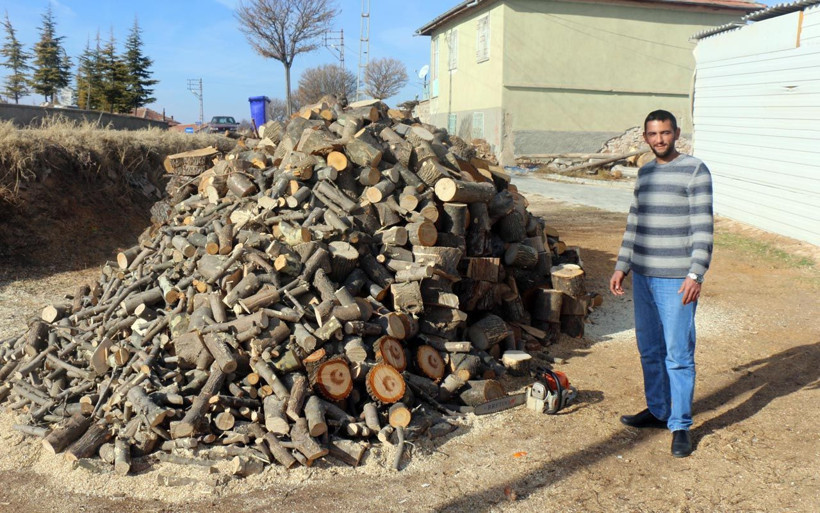 Yozgat'ta kesilen ağacın gövdesinde gördü şaşırdı! "Ay yıldız” figürü çıktığını iddia ediyor - Resim: 4