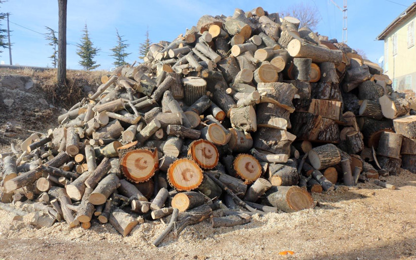 Yozgat'ta kesilen ağacın gövdesinde gördü şaşırdı! "Ay yıldız” figürü çıktığını iddia ediyor - Resim: 3