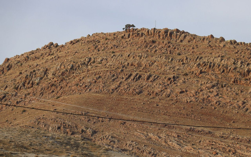 Sivas'ta 4 asırdır tek başına! Kesmeye gitti başına gelmeyen kalmadı 'yatır var' diyorlar - Resim: 1
