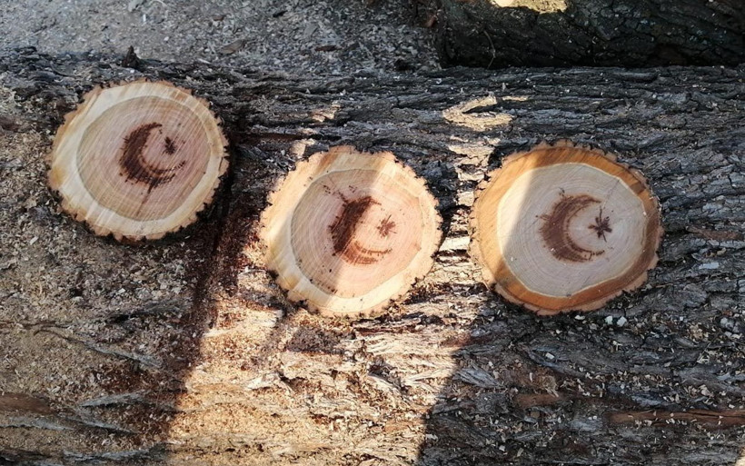 Yozgat'ta kesilen ağacın gövdesinde gördü şaşırdı! "Ay yıldız” figürü çıktığını iddia ediyor - Resim: 2