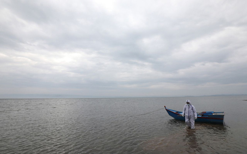 Kuş gribi paniği! İnsanlarda semptom görüldü Hindistan’da kümes hayvanları itlaf ediliyor - Resim: 3