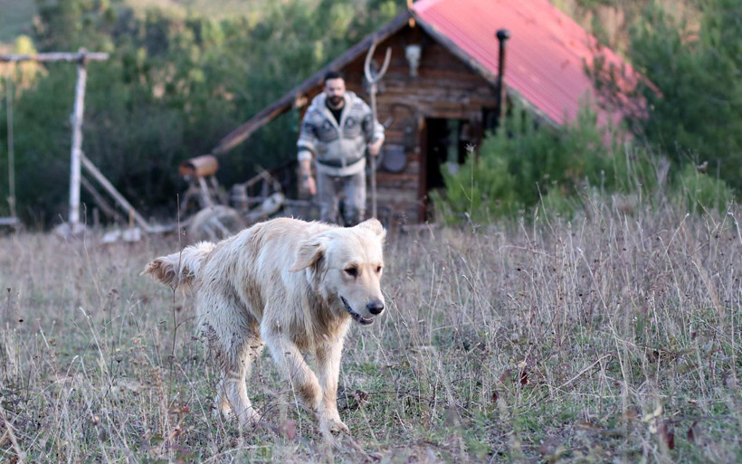 Samsun'da öğretmen koronavirüste doğaya yerleşti! Doğa yaşamını görenler imreniyor - Resim: 2