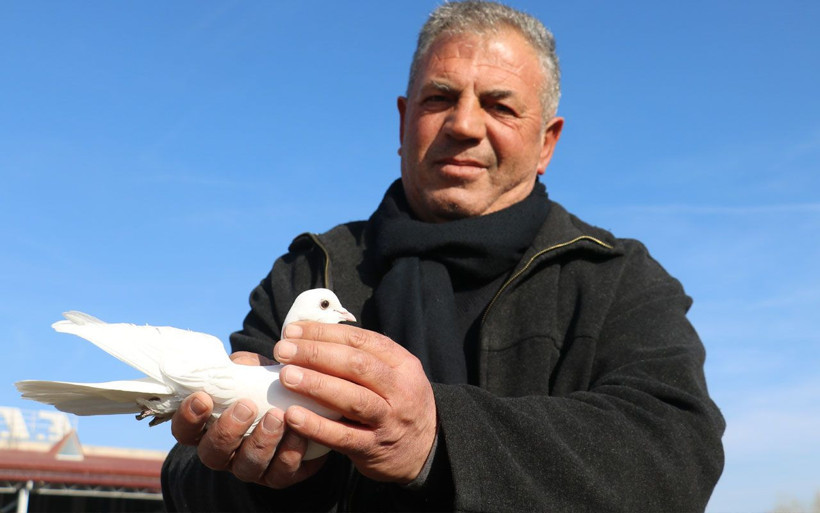 Sivas'ta bu kuşlara fiyat biçilemiyor! Müdürlüğü bırakıp başladı dünyaya satıyor - Resim: 3