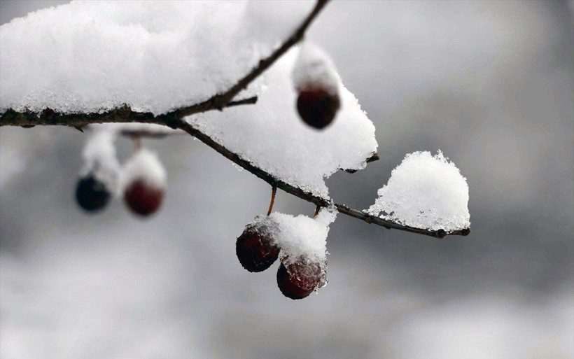 İstanbul'da kar alarmı! Meteoroloji gün verip uyardı: 20 cm kar yağacak - Resim: 1