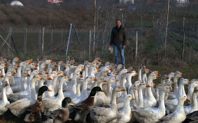 Almanya'da işini bıraktı Türkiye'ye döndü! Şehirden sıkılan gurbetçinin hayali gerçek oldu - Resim: 3