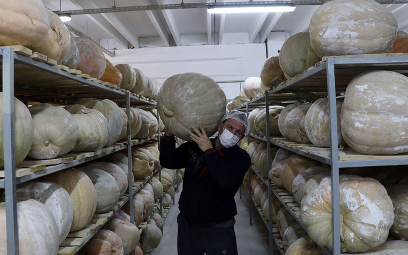 Aydın'da küçük dükkanda esnaftı büyük patron oldu! 10 ülkeye yılda 50 ton satıyor - Resim: 1