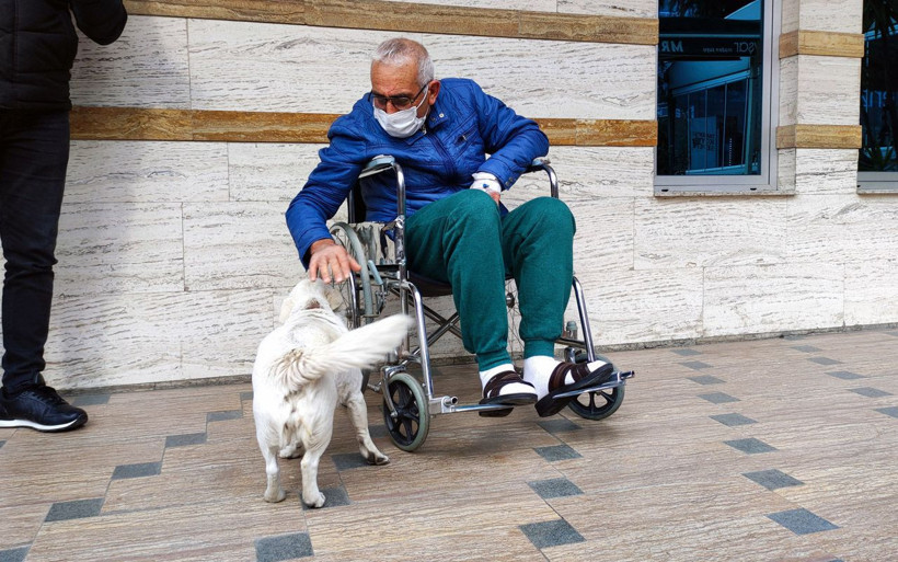 Trabzon'da ambulansı takip eden köpek 5 gündür sahibini hastane kapısında bekliyor - Resim: 4