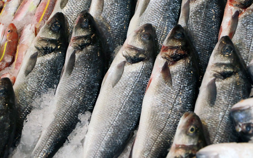 Balık alırken bu iki hileye dikkat! Bazı balıkçılar boya ve ağırlık kullanıyor - Resim: 1