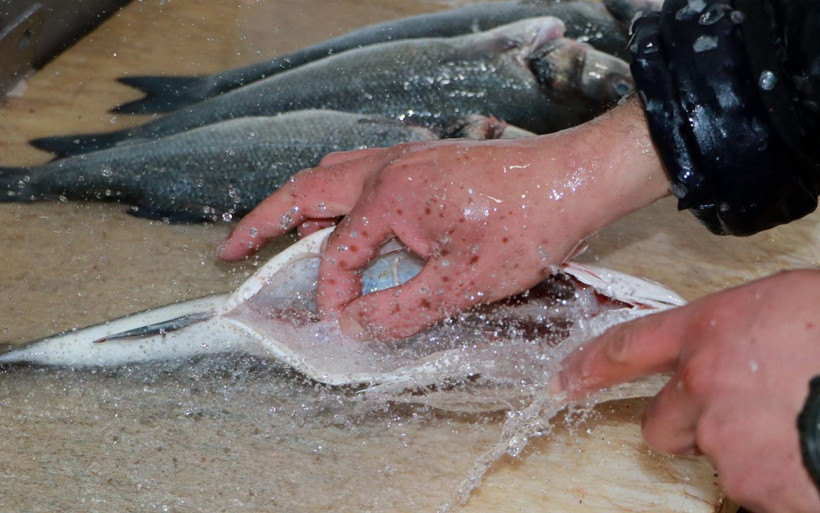 Balık alırken bu iki hileye dikkat! Bazı balıkçılar boya ve ağırlık kullanıyor - Resim: 4