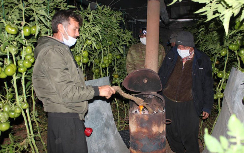 Mersin'de üreticiler meteorolojinin uyarısını dikkate aldı zirai don nöbeti başladı - Resim: 2