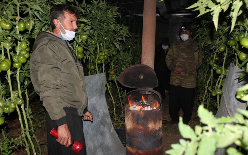 Mersin'de üreticiler meteorolojinin uyarısını dikkate aldı zirai don nöbeti başladı - Resim: 3