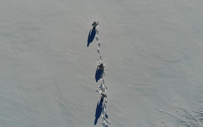 Koronayla savaşa kar da eklendi! Kahramanlar -15 derecede karla kaplı yollarda... - Resim: 3