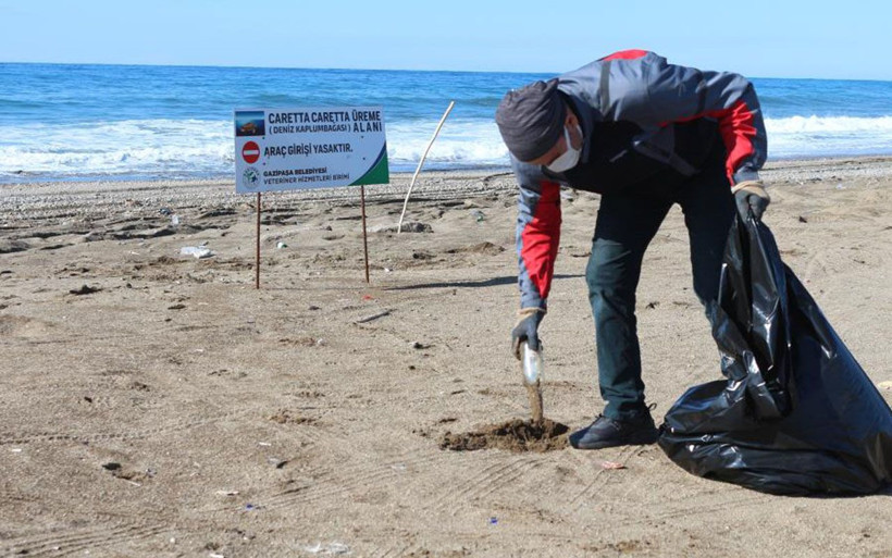 Antalya'nın sıra dışı sosyal medya fenomeni takipçisini çöpten çıkartıyor - Resim: 4
