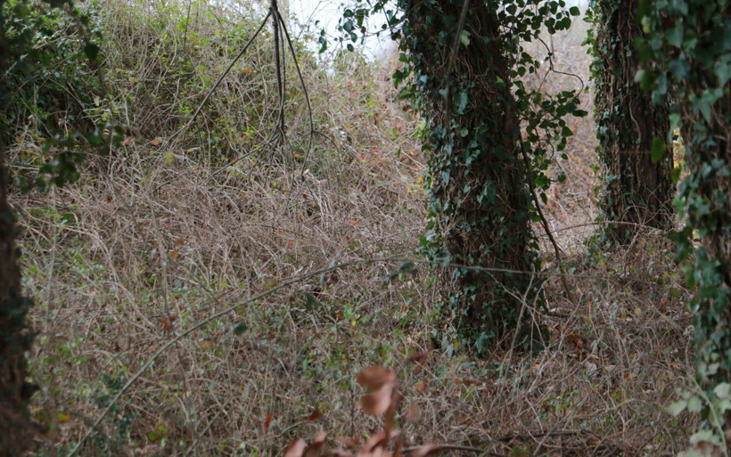 Samsun'da Arzu'nun katili Muharrem Coşkun ilan vermiş! 'Hızlı olan kazandı' - Resim: 2