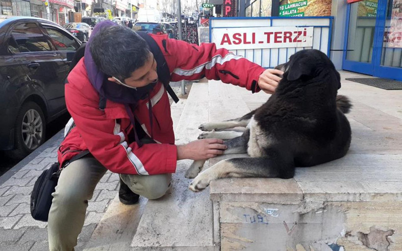 Maltepe'de sokak köpeklerine kendini ısırtan adam! Nedeni bakın neymiş - Resim: 3
