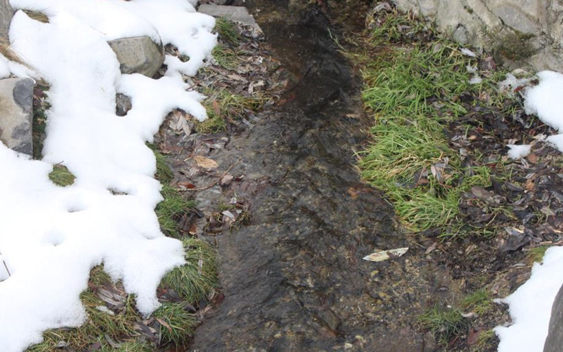 Erzurum'da eksi 40 derece bile donduramadı! Şaşırtan 'Balıklı Göl'ün rivayeti dikkat çekti - Resim: 4