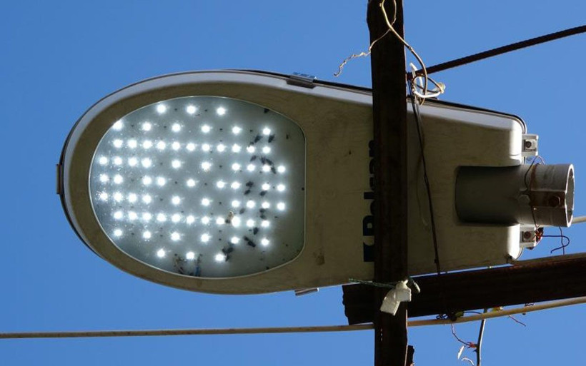 Ordu'da ilk başta ağaçların üzerine monte etti! 15 yıldır elektriğe para vermiyor - Resim: 4