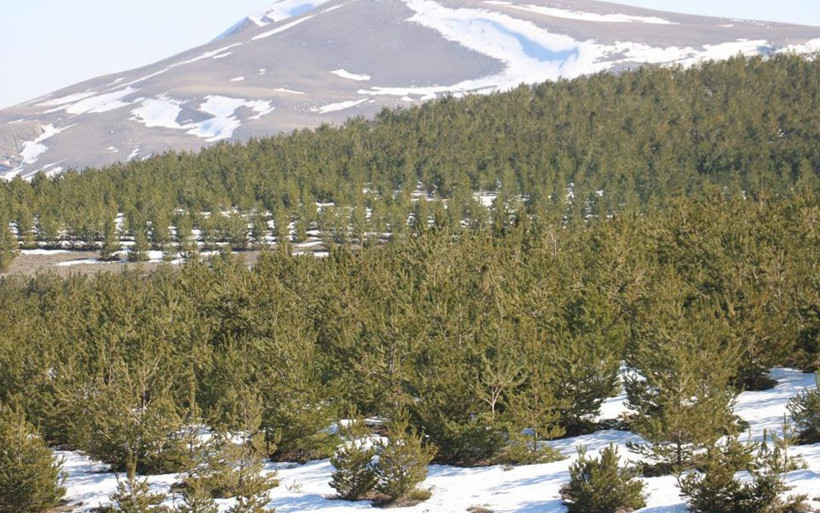 Sivas'ta 15 yıl önce yapılmıştı! Komşu köydekiler de aynısını istiyorlar - Resim: 2