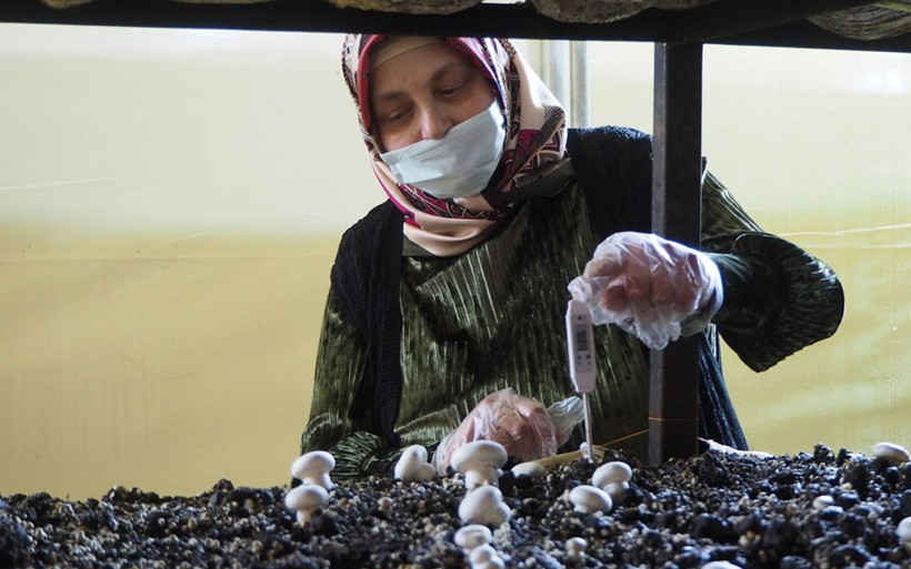 Konya'da eşini pişman etti 'iflas eder' diyen komşuları utandırdı! 2 ayda bu kadar kazandı - Resim: 3