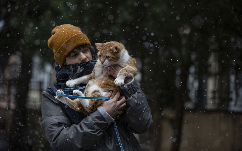 İstanbul'da kar yağışı kaç gün sürecek? Meteoroloji açıkladı - Resim: 3