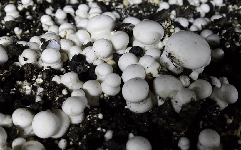 Konya'da eşini pişman etti 'iflas eder' diyen komşuları utandırdı! 2 ayda bu kadar kazandı - Resim: 4