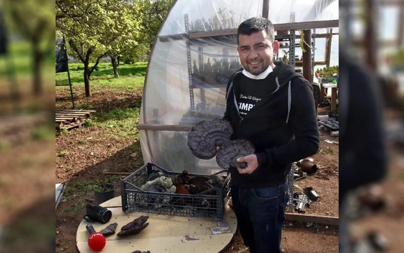 Muğla'da 'hazine buldun' demişlerdi! 'Ölümsüzlük mantarı'nın kilosu 5 bin TL'ye çıktı - Resim: 3