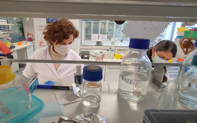 Aşı teknolojisinde devrim yaratacak! 'Mikrokürecik aşısı'nda ilk insan deneyleri yaz başında - Resim: 4