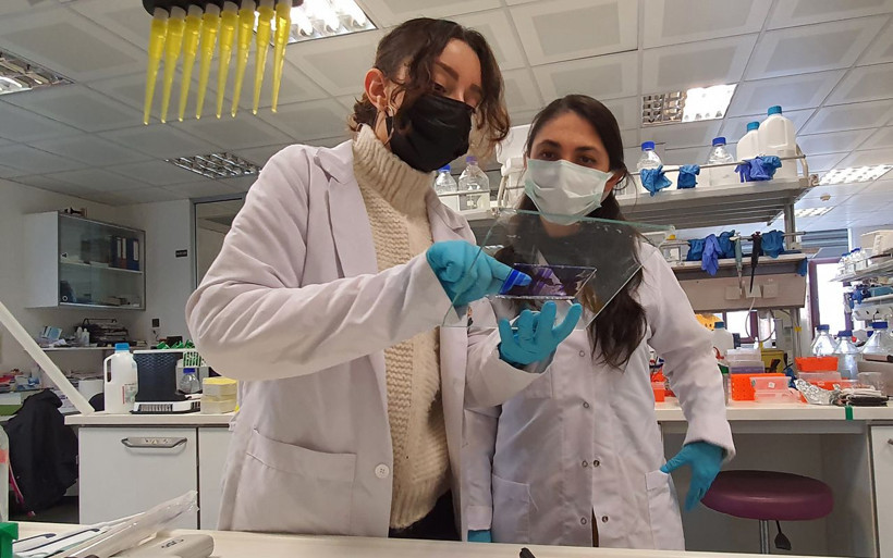 Aşı teknolojisinde devrim yaratacak! 'Mikrokürecik aşısı'nda ilk insan deneyleri yaz başında - Resim: 1