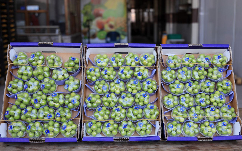 Antalya'da görenler yalnızca fotoğrafını çekebildi! Eriğin fiyatı çeyrek altından pahalı - Resim: 3