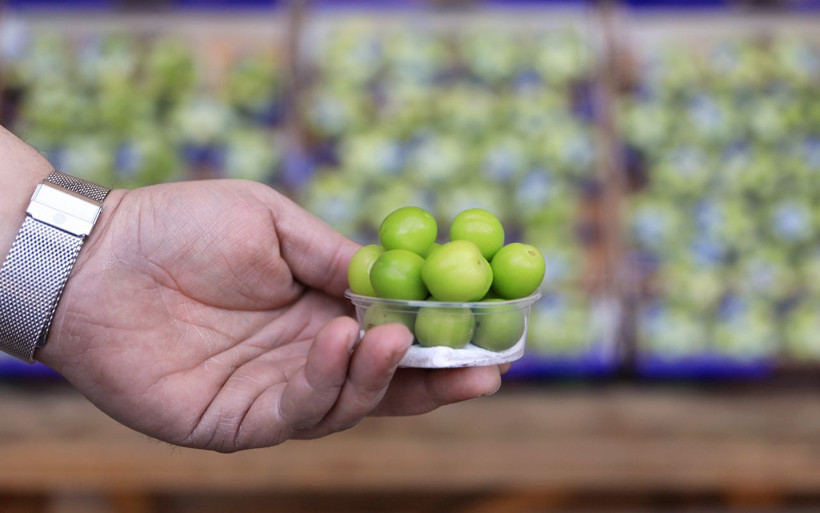 Antalya'da görenler yalnızca fotoğrafını çekebildi! Eriğin fiyatı çeyrek altından pahalı - Resim: 2