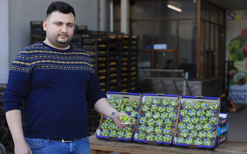 Antalya'da görenler yalnızca fotoğrafını çekebildi! Eriğin fiyatı çeyrek altından pahalı - Resim: 1