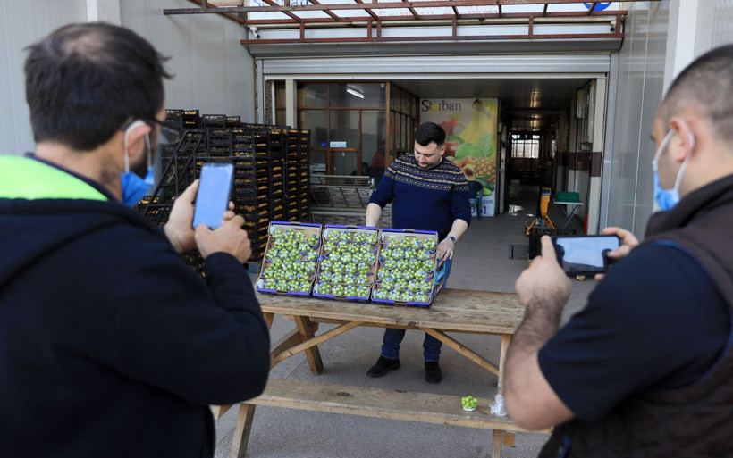 Antalya'da görenler yalnızca fotoğrafını çekebildi! Eriğin fiyatı çeyrek altından pahalı - Resim: 4