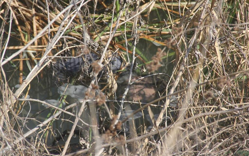 Adana'da askerden yeni gelmişti! Burak Tüylüce ölü bulundu yakınları kahroldu - Resim: 2