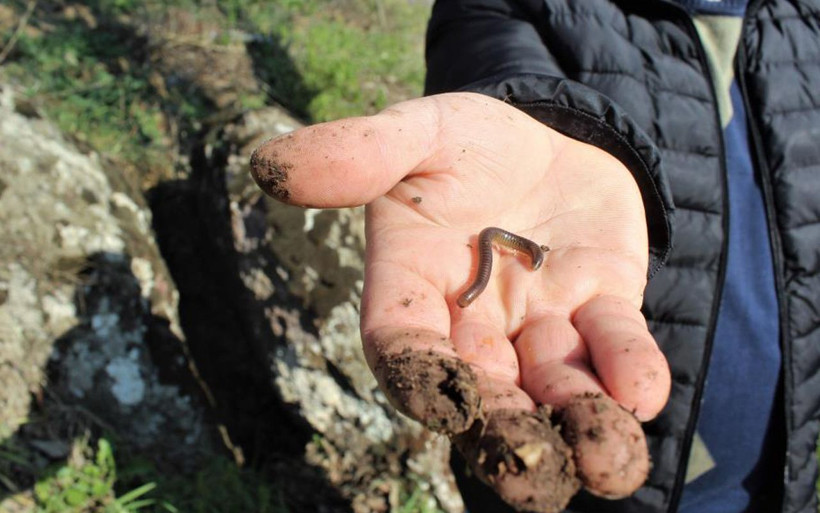Çıkan böceği yutuyorlar! Bursa'da çocuğu olmayanlar bu kayada tur atıyor - Resim: 3