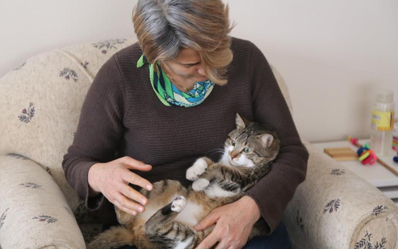 Kedinin tavla merakı Artvin'i şaşkına çevirdi: Bu nasıl olur - Resim: 4