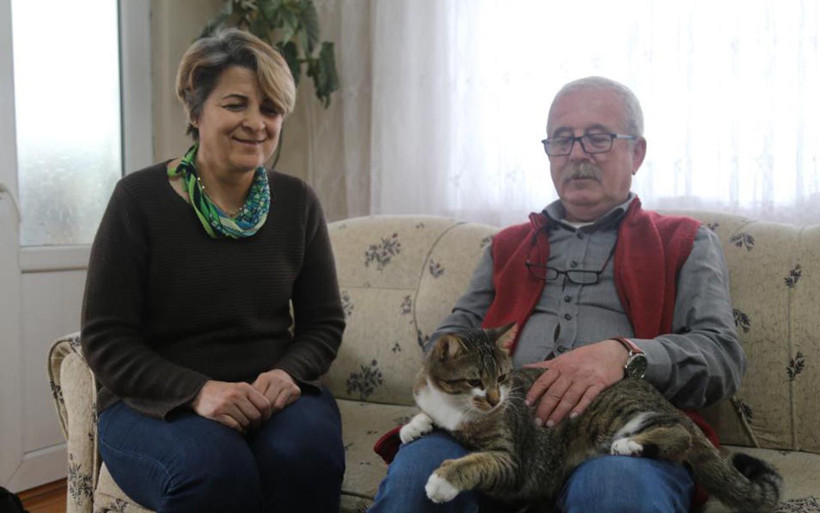 Kedinin tavla merakı Artvin'i şaşkına çevirdi: Bu nasıl olur - Resim: 3