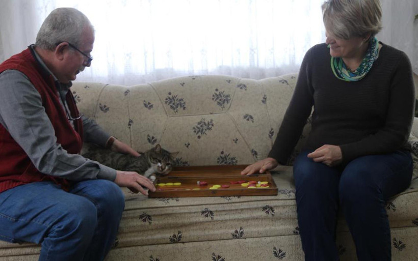 Kedinin tavla merakı Artvin'i şaşkına çevirdi: Bu nasıl olur - Resim: 1