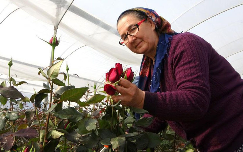 Osmaniye'de 'bu köyde yetişmez' diyenlere inat bu işe başladılar siparişlere yetişemiyorlar - Resim: 3