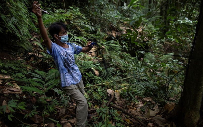 Bir sonraki virüsü önlemek için çalışıyorlar 'Virüs avcıları' diğer koronavirüslerin peşinde - Resim: 1