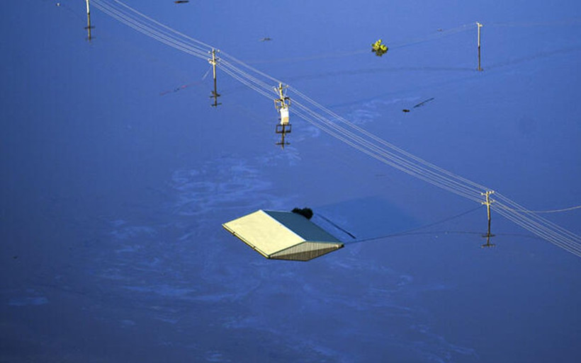 Felaketten sonra salgın başladı! 10 dakikada öldürüyor her yerdeler - Resim: 2