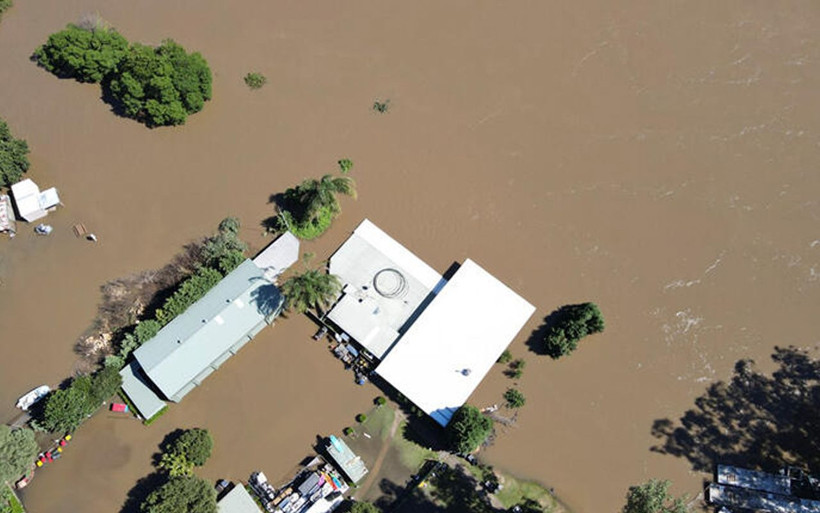 Felaketten sonra salgın başladı! 10 dakikada öldürüyor her yerdeler - Resim: 3